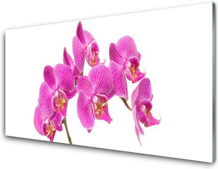 Tulup Obraz Akrylowy Orchidea Kwiaty Natura 100x50cm (PLOAHNN73847777)