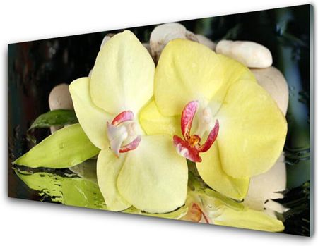 Tulup Obraz Akrylowy Płatki Kwiatu Storczyk 100x50cm (PLOAHNN76402691)