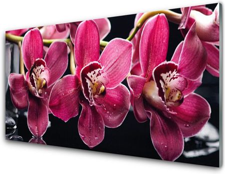 Tulup Obraz Akrylowy Kwiaty Orchidea Pędy Natura 100x50cm (PLOAHNN77052453)