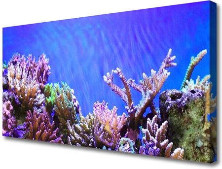 Tulup Obraz Canvas Rafa Koralowa Przyroda 120x60cm (OCHNN47399911)