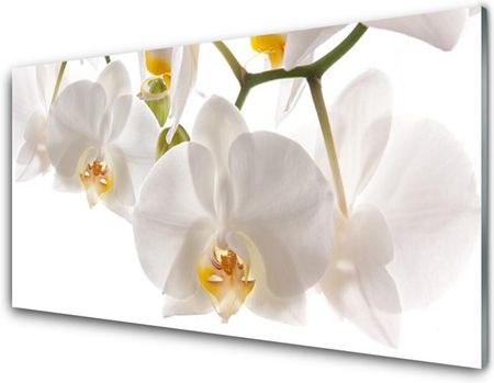 Tulup Obraz Akrylowy Orchidea Kwiaty Natura 140x70cm (PLOAHNN79072726)