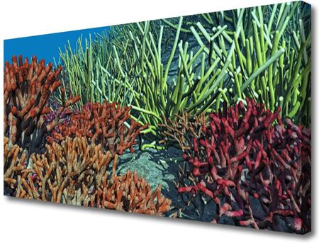 Tulup Obraz Canvas Rafa Koralowa Przyroda 120x60cm (OCHNN49363659)
