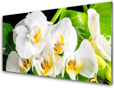 Tulup Obraz Akrylowy Orchidea Kwiaty Natura 125x50cm (PLOAHNN81860556)