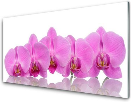 Tulup Obraz Akrylowy Różowa Orchidea Kwiaty 100x50cm (PLOAHNN84050579)