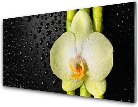 Tulup Obraz Akrylowy Bambus Kwiaty Orchidea 100x50cm (PLOAHNN94792906)