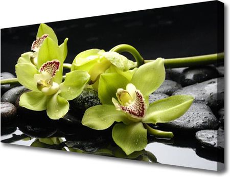 Tulup Obraz Canvas Kwiat Orchidea Roślina 100x50cm (OCHNN53577538)
