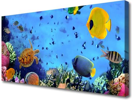 Tulup Obraz na Płótnie Rafa Koralowa Ryba Natura 125x50cm (OCHNN110277254)