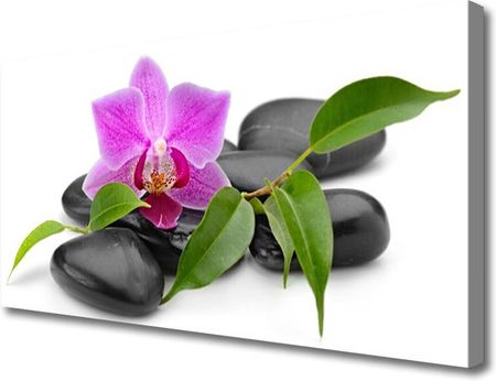 Tulup Obraz Canvas Kwiat Orchidea Sztuka 100x50cm (OCHNN56280586)
