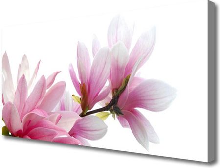 Tulup Obraz na Płótnie Magnolia Kwiat 100x50cm (OCHNN118984522)