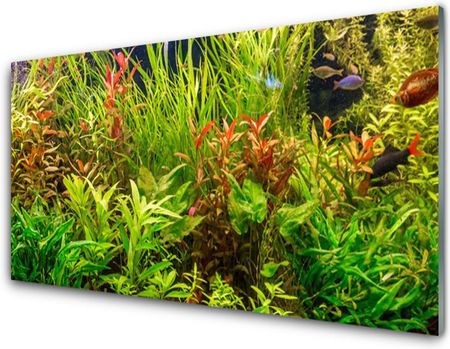 Tulup Panel Szklany Akwarium Rybki Rośliny 120x60cm (PLPKNN66953560)
