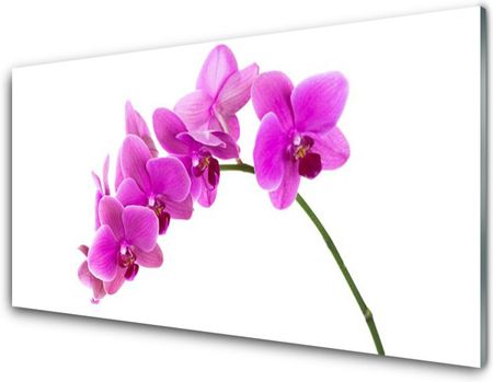 Tulup Panel Szklany Storczyk Kwiat Orchidea 125x50cm (PLPKNN67691978)
