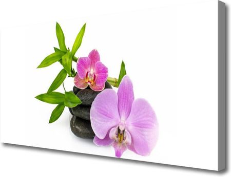 Tulup Obraz Canvas Kwiat Orchidea Roślina 100x50cm (OCHNN60228573)