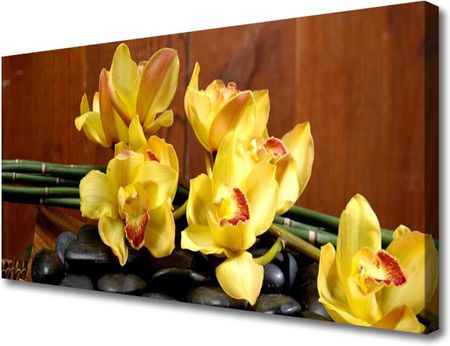 Tulup Obraz Canvas Kwiat Storczyk Roślina 125x50cm (OCHNN62434091)