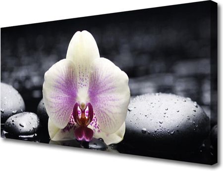 Tulup Obraz Canvas Kwiat Orchidea Roślina 140x70cm (OCHNN62804979)