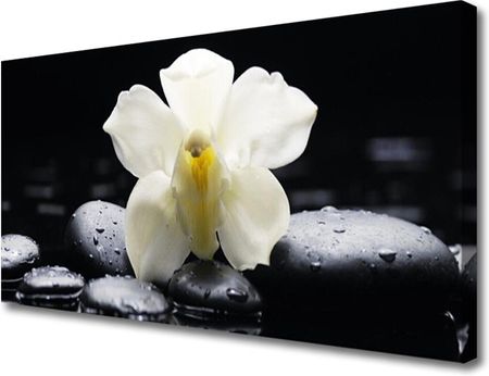 Tulup Obraz Canvas Kwiat Orchidea Roślina 100x50cm (OCHNN62839445)