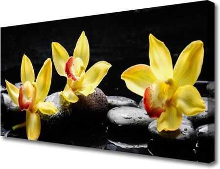Tulup Obraz Canvas Kwiat Orchidea Roślina 100x50cm (OCHNN64346670)