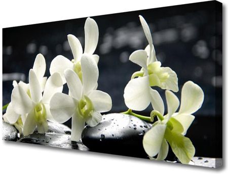 Tulup Obraz Canvas Kwiat Orchidea Roślina 140x70cm (OCHNN64347413)
