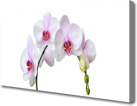 Tulup Obraz Canvas Storczyk Orchidea Kwiaty 100x50cm (OCHNN66517162)