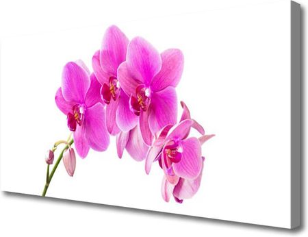 Tulup Obraz Canvas Storczyk Kwiat Orchidea 120x60cm (OCHNN67673367)