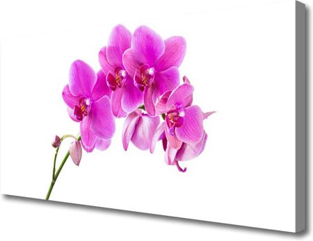 Tulup Obraz Canvas Storczyk Kwiat Orchidea 120x60cm (OCHNN67691937)