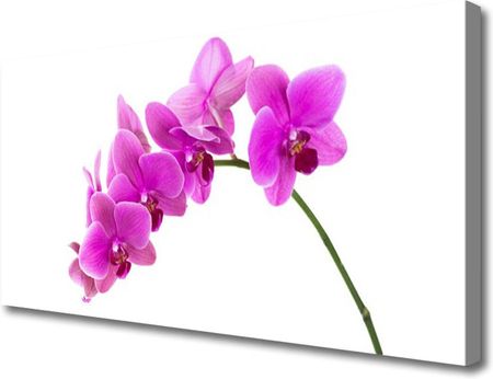 Tulup Obraz Canvas Storczyk Kwiat Orchidea 140x70cm (OCHNN67691978)