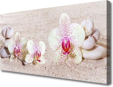 Tulup Obraz Canvas Storczyk Orchidea Piasek 125x50cm (OCHNN68755304)