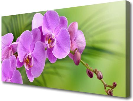 Tulup Obraz Canvas Storczyk Orchidea Kwiaty 120x60cm (OCHNN70392402)