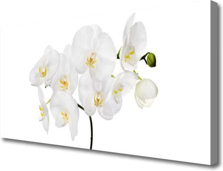 Tulup Obraz Canvas Storczyk Biały Kwiaty 140x70cm (OCHNN71027915)