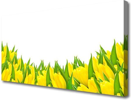 Tulup Obraz Canvas Kwiaty Natura Tulipany 120x60cm (OCHNN77237384)