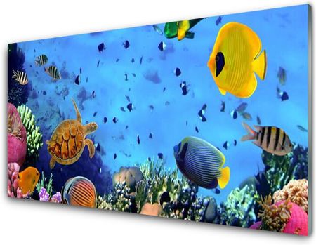 Tulup Obraz Akrylowy Rafa Koralowa Ryba Natura 125x50cm (PLOAHNN110277254)