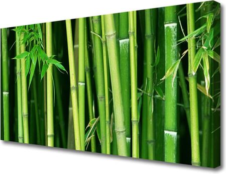 Tulup Obraz Canvas Las Bambusowy Bambus Natura 120x60cm (OCHNN81082441)