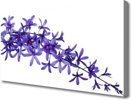 Tulup Obraz Canvas Kwiaty Rośliny Natura 100x50cm (OCHNN85058812)