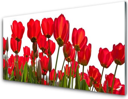 Tulup Obraz Akrylowy Kwiaty Na Ścianę 140x70cm (PLOAHNN124657648)