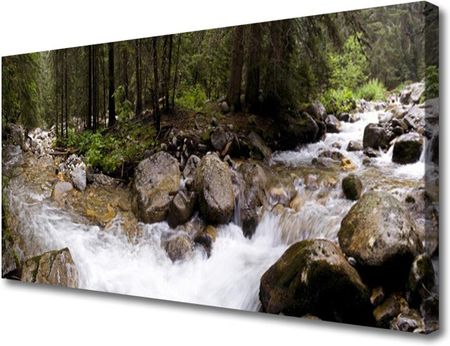Tulup Obraz Canvas Las Rzeka Wodospady 100x50cm (OCHNN9053550)