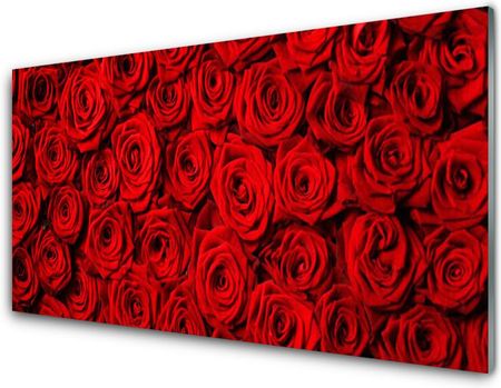Tulup Obraz Akrylowy Róże Na Ścianę 100x50cm (PLOAHNN127002347)