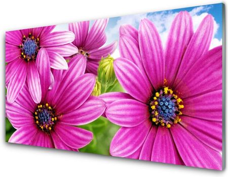 Tulup Obraz Akrylowy Kwiaty Na Ścianę 140x70cm (PLOAHNN141239794)
