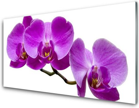 Tulup Obraz Akrylowy Kwiaty Na Ścianę 100x50cm (PLOAHNN141351262)