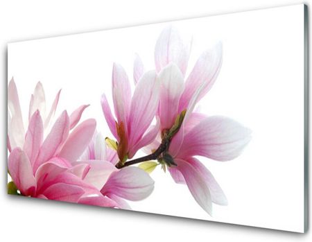 Tulup Obraz na Szkle Magnolia Kwiat 120x60cm (OSHNN118984522)
