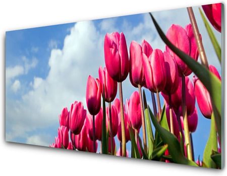 Tulup Obraz Akrylowy Tulipan Na Ścianę 140x70cm (PLOAHNN148408271)
