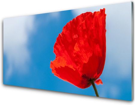 Tulup Obraz Akrylowy Tulipan Na Ścianę 125x50cm (PLOAHNN15286705)
