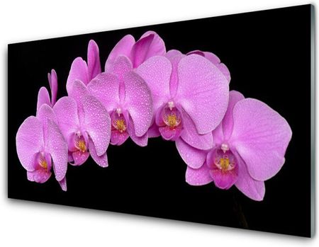 Tulup Obraz Akrylowy Kwiaty Na Ścianę 100x50cm (PLOAHNN15338182)