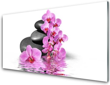 Tulup Obraz Akrylowy Piękny Kwiat Kamienie 100x50cm (PLOAHNN16181141)
