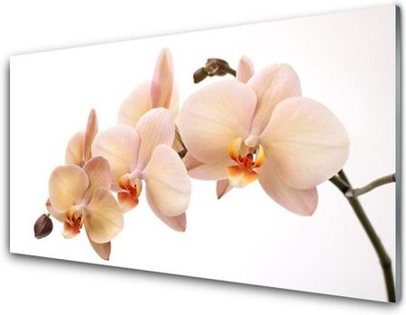 Tulup Obraz na Szkle Kwiaty Roślina 140x70cm (OSHNN22259000)