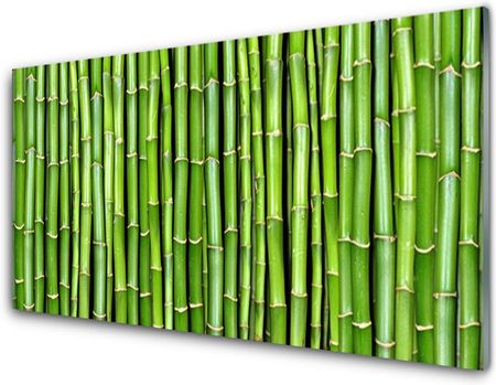Tulup Obraz na Szkle Bambus Kwiat Roślina 120x60cm (OSHNN24409447)