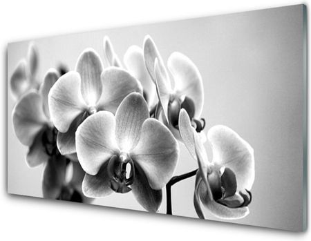 Tulup Obraz na Szkle Kwiaty Roślina Natura 125x50cm (OSHNN2699778)