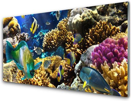 Tulup Obraz na Szkle Rafa Koralowa Natura 100x50cm (OSHNN34734039)