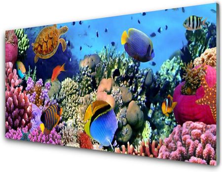 Tulup Obraz na Szkle Rafa Koralowa Natura 120x60cm (OSHNN35544351)