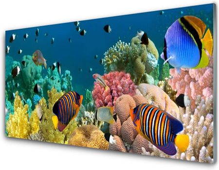 Tulup Obraz na Szkle Rafa Koralowa Natura 100x50cm (OSHNN34886866)