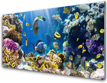 Tulup Obraz na Szkle Rafa Koralowa Natura 120x60cm (OSHNN36026012)