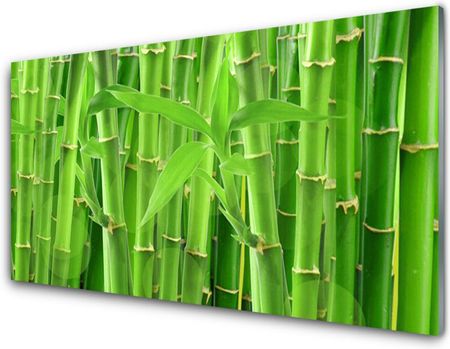 Tulup Obraz na Szkle Bambus Łodyga Kwiat Roślina 125x50cm (OSHNN36350386)